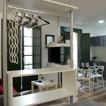 Apartment Acio Blanco. Loft En El Casco Historico De